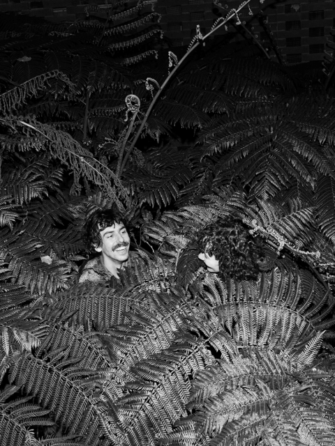 Still Point, Turning World